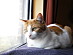 View full size picture