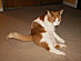 View full size picture