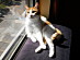 View full size picture