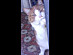 View full size picture