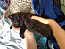View full size picture
