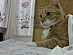 View full size picture