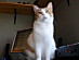 View full size picture