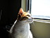 View full size picture