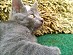 View full size picture