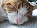 View full size picture