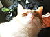 View full size picture