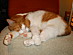 View full size picture