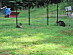 View full size picture