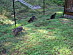 View full size picture