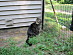 View full size picture