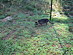 View full size picture