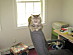 View full size picture