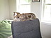 View full size picture