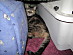 View full size picture