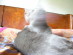 View full size picture
