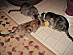 View full size picture