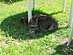 View full size picture