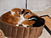 View full size picture