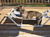 View full size picture