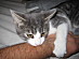 View full size picture