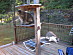 View full size picture