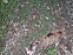 View full size picture