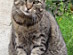 View full size picture