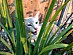 View full size picture