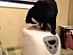 View full size picture