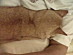 View full size picture