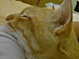 View full size picture