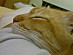 View full size picture