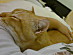 View full size picture