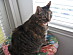 View full size picture