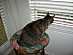 View full size picture