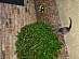 View full size picture