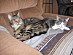 View full size picture