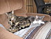 View full size picture
