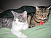 View full size picture