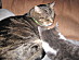 View full size picture