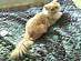View full size picture