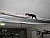 View full size picture
