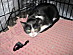 View full size picture