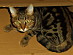 View full size picture