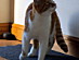 View full size picture