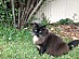 View full size picture
