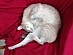 View full size picture