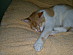 View full size picture