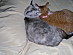 View full size picture